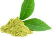 Preparation of Green Tea Detoxification Mask 23
