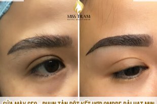 Before And After Fixing Old Eyebrows - Ombre 73 . Combination Powder Spray