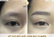 Before And After Sculpting Natural, Beautiful Eyebrows For Women 7