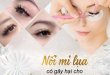 Is Silk Eyelash Extensions Harmful to Eyes 10