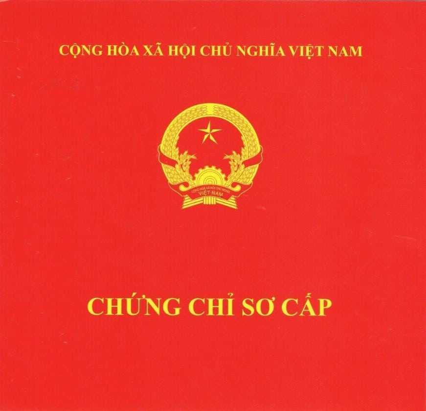 chứng chỉ hành nghề nối mi