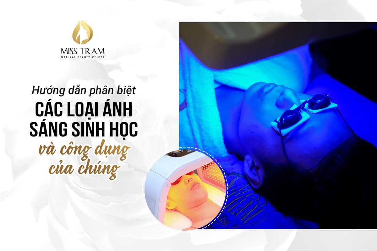 Hướng Dẫn Phân Biệt Các Loại Ánh Sáng Sinh Học Và Công Dụng Của Chúng