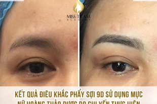 Results of Sister Yen's 9D Queen's Eyebrow Sculpting Practice