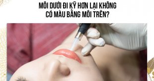 Tại Sao Khi Phun, Môi Dưới Đi Kỹ Hơn Lại Không Có Màu Bằng Môi Trên