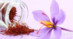 Saffron - Natural Beauty Ingredients Spas Need 1