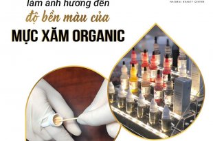 Factors Affecting Color Fastness of Organic Tattoo Ink 17