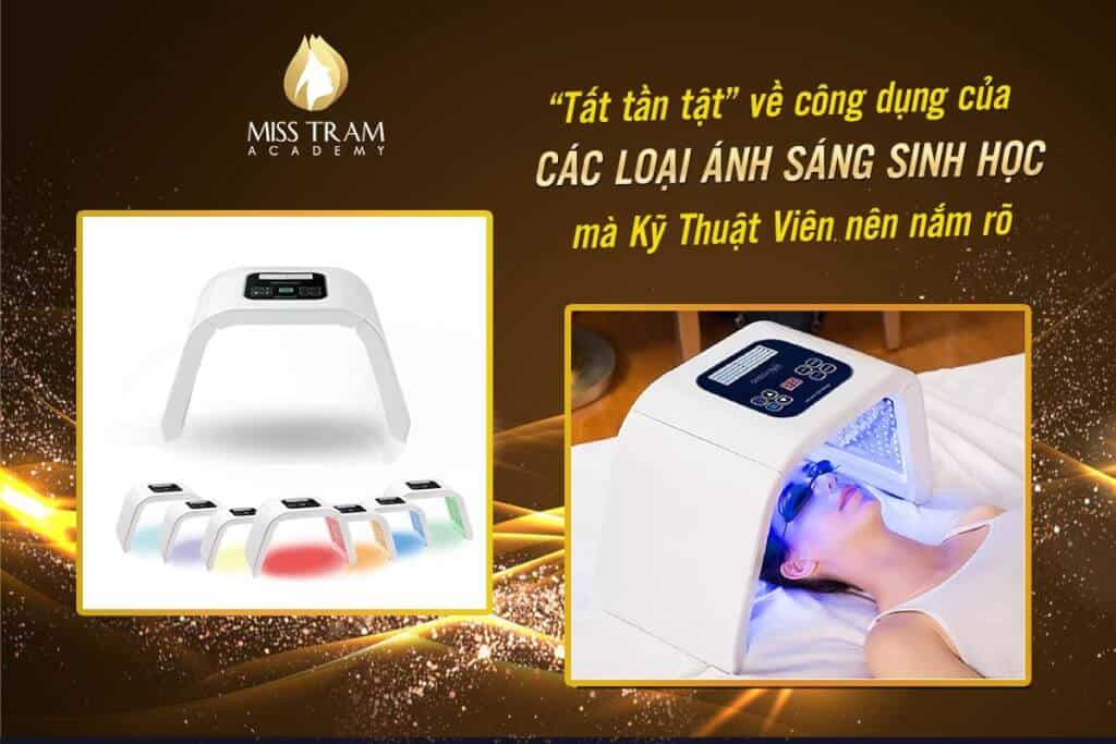 Tìm Hiểu Công Dụng Của Các Loại Ánh Sáng Sinh Học 3