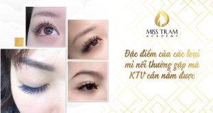 Share 4 Common Features of Eyelash Extensions KTVs Need to Know 5