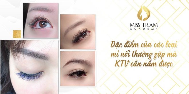Share 4 Common Features of Eyelash Extensions KTVs Need to Know 1