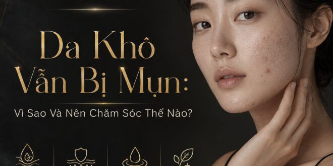 Da Khô Bị Mụn: Vì Sao Và Nên Chăm Sóc Thế Nào? 2